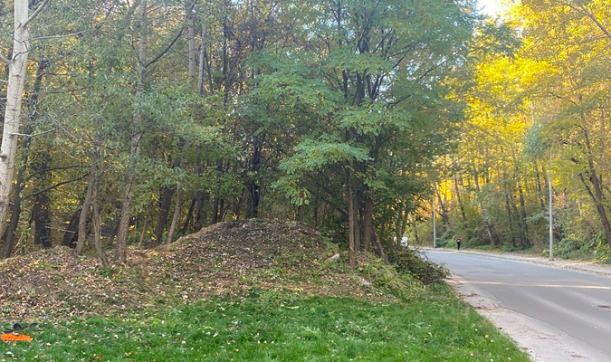 parkp5