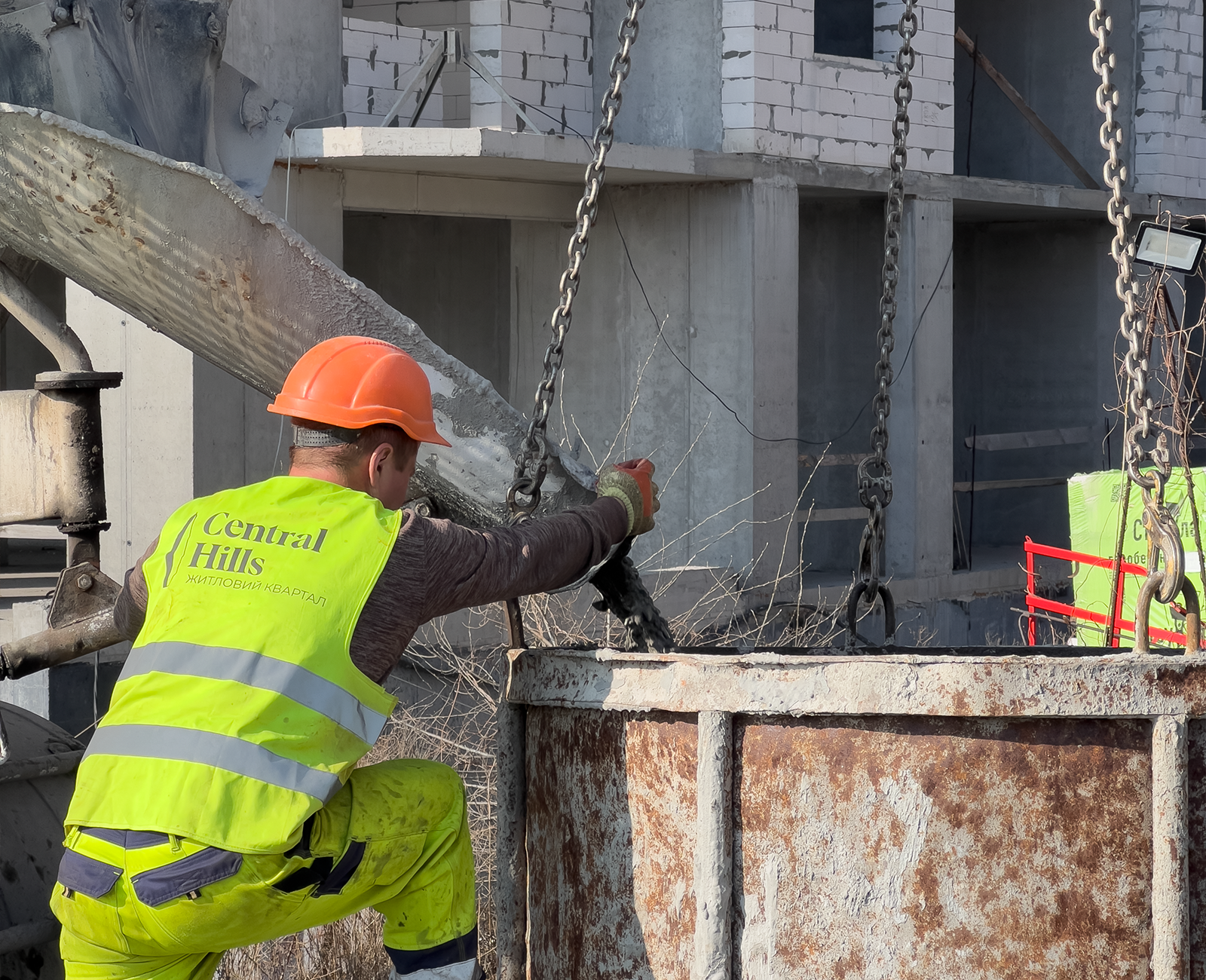 z5 (5)